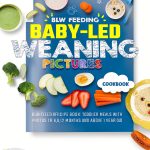 Polish Baby Food Cookbook by Author Name – 167‑Page Kindle Edition-0